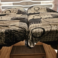 Miniature Intégral LE VOYAGEUR  LV 8.5 GJF